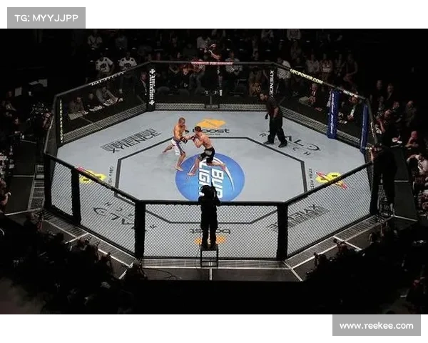 综合格斗的赛事(综合格斗赛事在线直播平台)