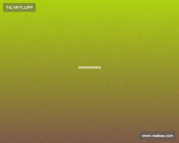 安防电子竞技平台官网、安防电商